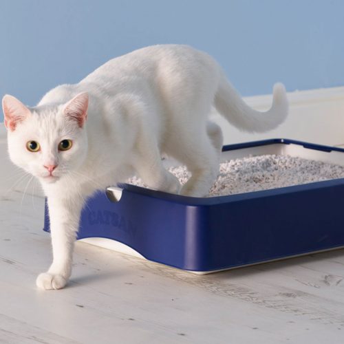 Kitty Clean Cat Litter